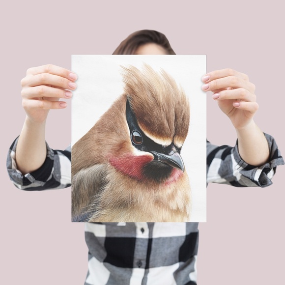 Watercolor Cedar Waxwing Bird Portrait Wall Art Print, Unframed - Vibrant Nature - Picture 4 of 7